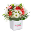 This bouquet, neatly nestled within a stylish white gift bag, brings a delight reminiscent of springtime strolls through Stanmore's picturesque parks. Coral and peach carnations unfurl their frilly petals in rich, uplifting layers, while lively red accents add expressive pops of colour. White daisies with bright yellow-green centers punctuate the scene, their joyful faces reminiscent of sunshine over Stanmore Place. Wispy baby's breath is scattered throughout, lending the arrangement an ethereal, floating quality. Subtle purple-tipped buds on the periphery hint at new beginnings and happy occasions to come. Framing the blossoms, deep green leaves arc gracefully around the bouquet's base, an echo of the lush, well-tended gardens found in Stanmore's residential streets. The rounded, abundant form of the bouquet conveys a sense of nurturing abundance and festive cheer. The white gift bag, with its sturdy ribbon handles, is poised for gifting-be it a birthday, anniversary, or thoughtful delivery on any day. Captured against a pure white backdrop, this arrangement radiates freshness, positivity, and the skilled touch of Stanmore's local florists.