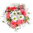 This expertly crafted bouquet is a vibrant tribute to Stanmore's natural beauty and sense of joyful community. At its core, dazzling white daisies with fresh green centers create a feeling of innocence and clarity, surrounded by plush coral-pink carnations whose ruffled petals add warmth and lively texture. Baby's breath, distributed throughout the bouquet, mimics the gentle, airy haze so often seen above Stanmore's open spaces at dawn. Tucked among the blooms, hints of alstroemeria buds, coloured in gentle blushes and purples, give the arrangement a thoughtful sophistication. Soft eucalyptus foliage and rich green leaves form an elegant frame, balancing the brightness of the flowers and lending an undercurrent of tranquillity. This ensemble, highlighted on a pure white backdrop, embodies a sense of renewal, positive spirit, and gentle celebration-the very qualities that make Stanmore such a cherished local community. Whether presented as a birthday gift, thank you gesture, or simply as a way to bring the beauty of outdoors into a home near Canons Park, this bouquet stands as a testament to the bespoke craftsmanship and heartfelt care offered by Stanmore's florists.